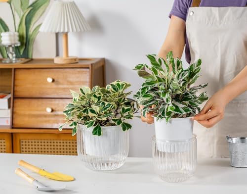 Melphoe Self Watering Pots for Indoor Plants Planter, 6.5/5.3 Inch 2 Pack Planters Self Watering Plant Pots for Flower, Houseplants, Succulent, African Violets and Cactus with Drainage - Image 2