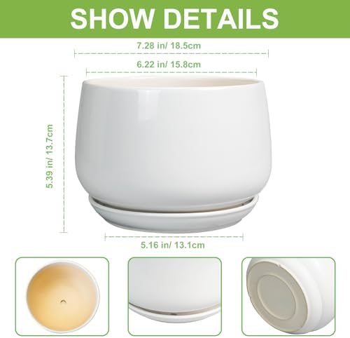 G EPGardening Ceramic Pots for Plants - 7 Inch Planter for Indoor Plants, Round Flower Pots with Drainage and Saucer, Modern Outdoor Planter, Garden Decor, Home Gifts, White - Image 3