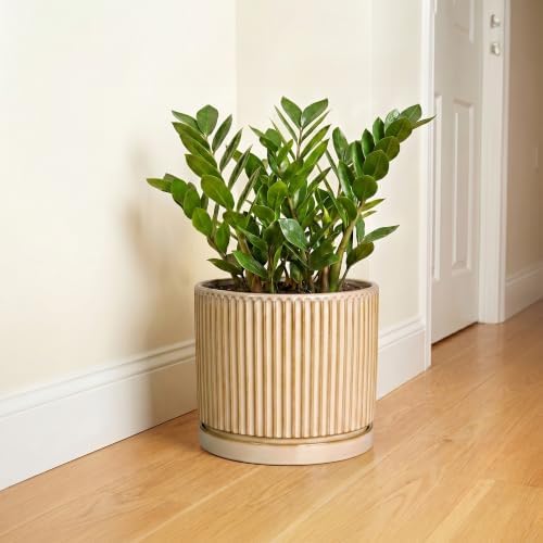 Ceramic Pots for Plants, 10 Inch Planters, Round Plant Pot, Beige - Image 6