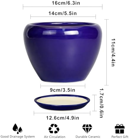Ceramicfor 6 Inch Plant Pot - Ceramic Pots for Plants Succulent Pot with Drainage Hole and Saucer Round Planter Outdoor Flower Pot for Herb Snake Plants Blue - Image 3