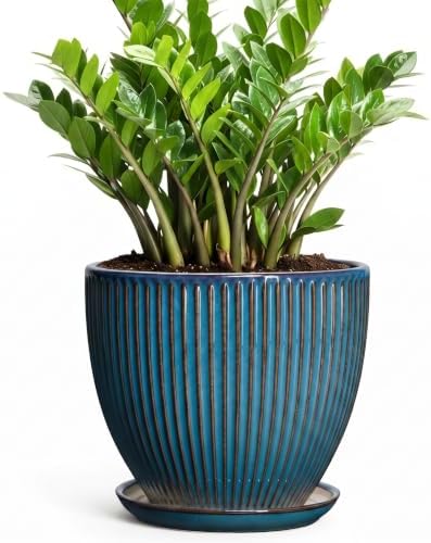 Ceramic Planter, 10 Inch Plant Pot with Drainage Hole and Saucer, Round Planters for Indoor Plants, Decorative Plant Pots, Modern Planter, Living Room Decor, Gifts for Plant Lovers, Retro Blue by Unknown