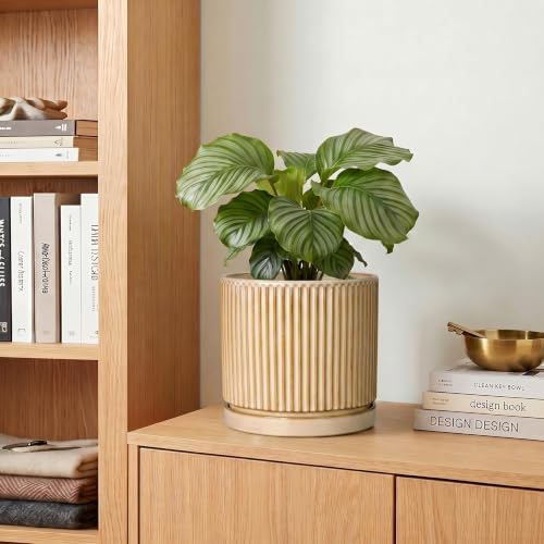 Ceramic Planter, 6 Inch Plant Pot, Pots for Plants with Tray, Beige - Image 7