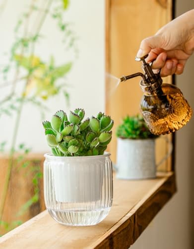 Melphoe Self Watering Pots for Indoor Plants Planter, 4.3 Inch 2 Pack Planters Self Watering Plant Pots for Flower, Houseplants, Succulent, African Violets and Cactus with Drainage - Image 4