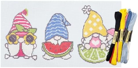 Howie's Needlepoint Needlepoint Kits, 18CT Printed Embroidery Pattern Starter Kits, Stamped Patterns Canvas Kits(Summer of Joy,4.5x6.5inch) by HowiesNeedlepoint