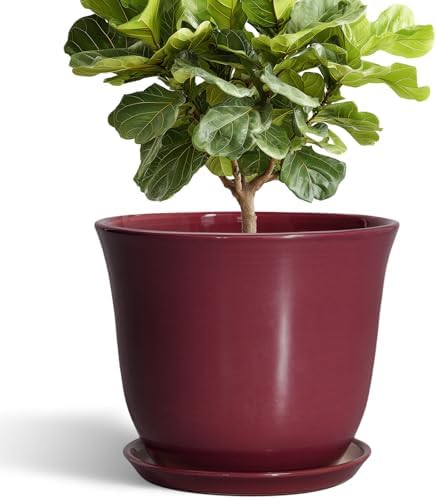 12 Inch Pots for Plants - Ceramic Planter for Indoor Outdoor, Round Plant Pot with Drainage Hole and Saucer, Large Planters, Modern Flower Pots, Home Room Office Decor, Gardening Gifts, Red by SUNPOTFOR
