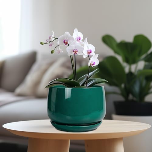 G EPGardening Ceramic Planter for Indoor Plants - 7 Inch Plant Pot, Round Planter with Drainage and Saucer, Round Flower Pots for Outdoor, Modern Desk Decor, Gift for Women Men, Green - Image 2