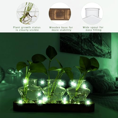 XXXFLOWER Plant Propagation Station with Wooden Stand 3 Star Jars - Image 3