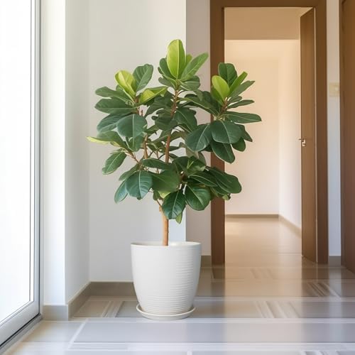 12 Inch Ceramic Planter Pot, Large Planter with Drainage Hole and Saucer Round Flower Pot for Indoor Outdoor Plants, White - Image 6