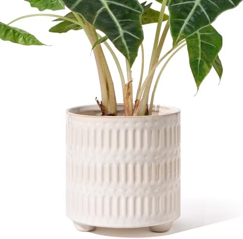 STHIE 5 Inch Ceramic Planters for Indoor Plants, White Snake Plant Pots by STHIE