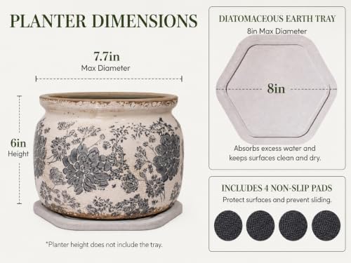 Rustic Ceramic Plant Pot with Decorative Saucer, Gifts for Plant Lovers - Image 3