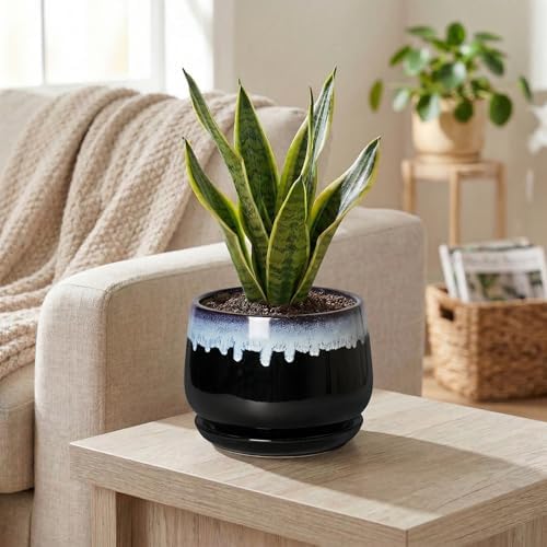 6 Inch Plant Pot - Ceramic Planters for Indoor Plants, Decorative Planter with Drainage Hole and Saucer, Round Flower Pots, Office Patio Decor, Gifts for Gardeners Woman, Black-Blue - Image 5