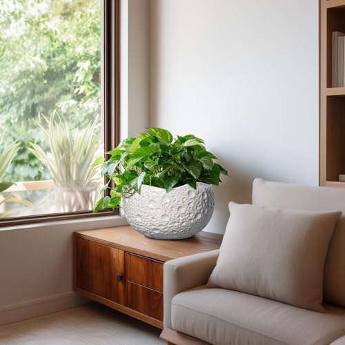 10 Inch Planter, Ceramic Pots for Plants with Drainage Hole, Grey - Image 6