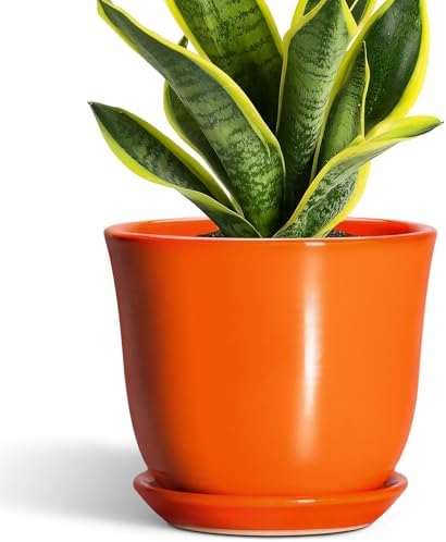 Ceramic Planter - 8 Inch Plant Pot with Drainage Hole and Saucer, Modern Planters for Indoor Outdoor Plants, Round Flower Pot, Home Patio Office Decor, House Warming Gifts, Orange by SUNPOTFOR