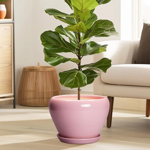 Ceramicfor 10 Inch Plant Pot - Ceramic Planter for Indoor Plants, Glaze Modern Round Planter with Drainage Hole and Saucer, Gifts for Plant Lovers, Office Patio Home Room Decor, Pink - Image 2