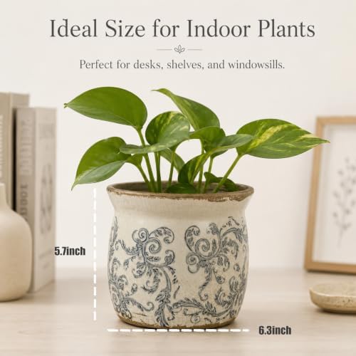 Doysayes Vintage Ceramic Flower Pot for Indoor Plant with Drainage Hole - Image 3