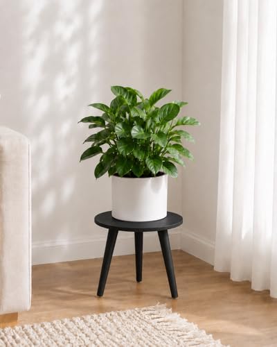 Bamworld Black Plant Stand Indoor Small Plant Table Wood Plant Stool by Bamworld