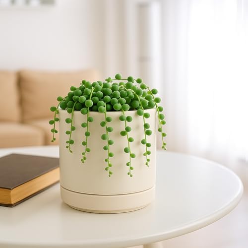 D'vine Dev 4.7 Inch Ceramic Planter Pot, Oatmeal, 94-O-B-8 - Image 5
