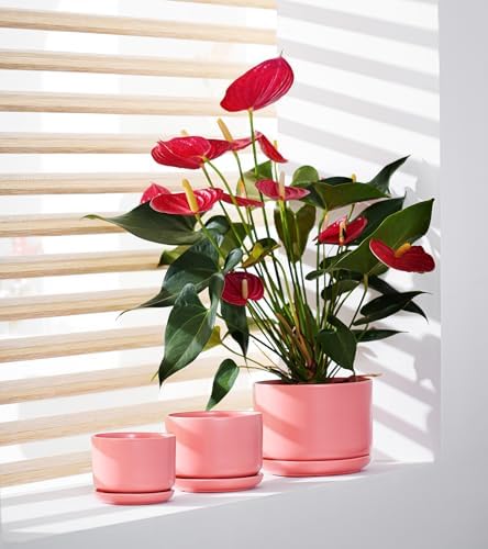 Ceramic Plant Pots,Planters with Drainage Hole&Saucer 3 Pack(Matte Orange) - Image 4