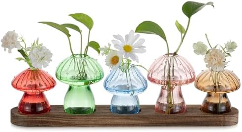 Glasseam Mushroom Glass Plant Propagation Station with Wooden Stand 5Pcs by Glasseam