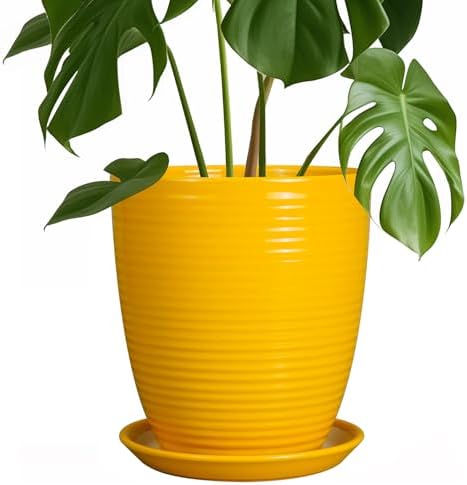 Ceramic Plant Pot - 8 Inch Planter Pot with Drainage Hole and Saucer Round Planter for Indoor Outdoor Plants Flower Pot for Home Patio Garden Office Yellow by EPFamily