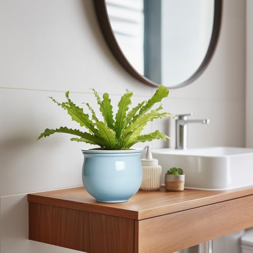 Ceramic African Violet Pots for Indoor Plants, 6 Inch Self Watering Planters with Absorbent Inner Pot, Self Watering Plant Pot, Ceramic Flower Pots, Desk Decor, Housewarming Gifts, Light Blue - Image 5