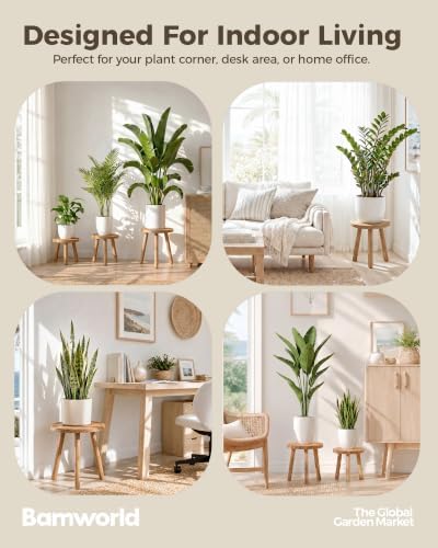 Bamworld 3 Pack Plant Stand Indoor Single Plant Stand for Multiple Plants Corner Plant Stool Wooden Plant Stands for Patio Garden Balcony Living Room Bedroom(Nature) - Image 6