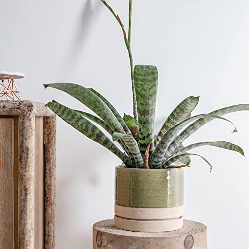 HERDUK 8 Inch Pots for Plants, Ceramic Planter Pot with Drainage Hole & Saucer, Indoor/Outdoor Cylinder Round Planter Pot, Green & Beige - Image 6