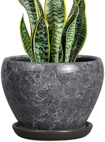 Ceramicfor 8 Inch Plant Pot - Ceramic Planter Pot with Drainage Hole and Saucer, Glaze Garden Pot Modern Flower Pot for Indoor Plants, Gray by Ceramicfor