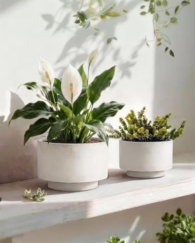Succulent Pots, 8"+6" Plant Pots, Ceramic Planters for Indoor Plants - Image 3