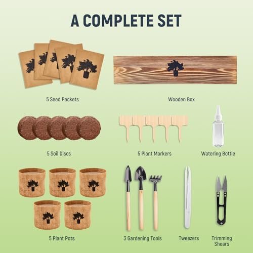 Bonsai Tree Kit - Complete Indoor Bonsai Starter Kit with 5 Unique Tree Seeds, Bonsai Tools - DIY Gardening Gift for Adults Women Men, Mom, Her, Friend (5 Bonsai Trees) - Image 3