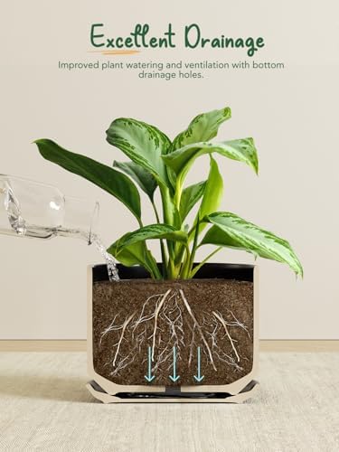 LE TAUCI Ceramic Plant Pots, Set of 2, 8+10 Inch Plant Pots Indoor with Drainage Hole & Saucer, Sturdy Planters for Indoor Plants, Modern Minimalist Decor for Snake Plant, Monstera, Black - Image 4