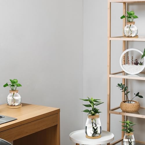 Layhit 4 Pcs Plants Propagation Stations vases Glass Planters with Wooden Lid and Bamboo Stand for Hydroponic Plants Gardening Gifts for Women Mom Home Office Tabletop Decoration(Lovely Style) - Image 6