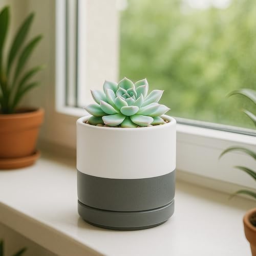 D'vine Dev 3.5 Inch Ceramic Planter Pot, White/Grey, 94-O-A-6 - Image 3