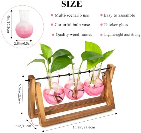 XXXFLOWER Plant Terrarium Kit with Wooden Stand 3 Gradient Pink Bulb Vases - Image 2