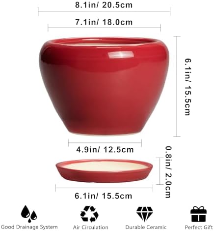 Ceramicfor Ceramic Planter for Indoor Plants, 8 Inch, Glossy Red - Image 3