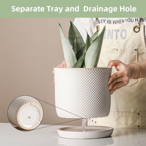 8 Inch Plant Pots: Ceramic Planter with Drainage Hole & Saucer - Flowerpot for Indoor & Outdoor Plants - Beaded Embossed Design White - with Separate Tray - Image 4