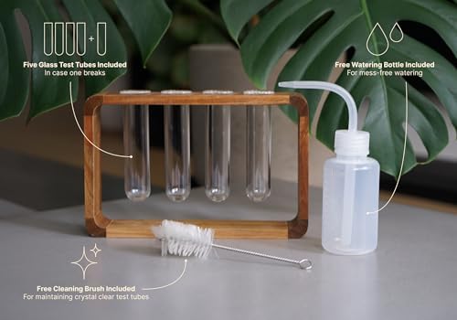 Source & Plot Plant Propagation Station - Acacia Wood Stand with 4 Glass Test Tubes, Tabletop Hydroponic Terrarium Planter Rack for Rooting & Houseplant Decor, Gift for Plant Lovers - Image 5