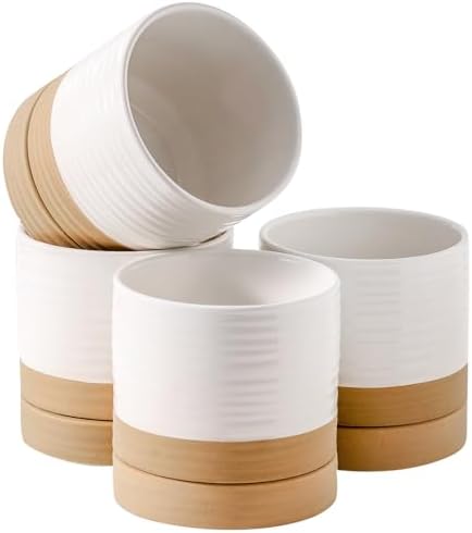 HASENSE Ceramic Plant Pots with Saucers Set of 4, 4.6 Inch Planters for Indoor Plants with Drainage Holes,Two-Tone White Flower Pots for Succulents, Snake Plants & Cactus, Farmhouse Desktop Decor by Hasense