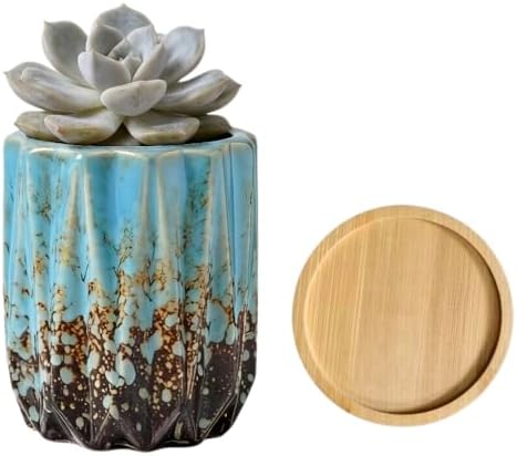 Modern Textured Ceramic Succulent Planter Pot – (No Plant Included) – Perfect for Small Plants, Cacti & Desk Decor – Lightweight & Durable，Blue by SJBAG