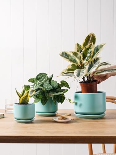 LE TAUCI Ceramic Plant Pots, 4.3+5.3+6.8 inch, Set of 3, Planters with Drainage Hole and Saucer, Indoor Flower Pot with Hole Mesh Pad, Gifts for Mom, Aqua - Image 4
