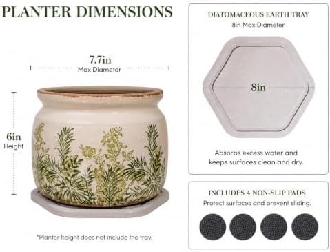Cottage Ceramic Flower Pots with Decorative Saucer, Plant Lover Gifts - Image 3