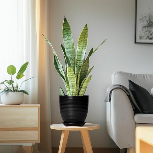 6 Inch Plant Pot - Ceramic Planters for Indoor Outdoor Plants, Modern Flower Pots with Drainage Hole and Saucer, Round Ceramic Planter, Office Room Decor, Gifts for Plant Lovers, Matte Black - Image 6