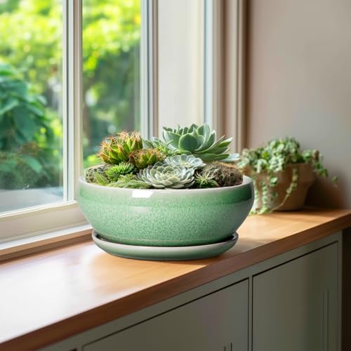 SQOWL Bonsai Pots - 10 Inch Ceramic Succulent Pots with Drainage Hole and Saucer, Shallow Planter for Indoor Plants Flowers, Round Planter Bowl, Living Room Decor, Plant Lover Gifts, Green - Image 4