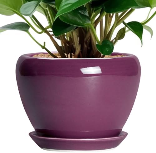 Ceramicfor Ceramic Pots for Plants 6 Inch - Ceramic Plant Pots with Drainage Hole and Saucer, Glaze Round Planter for Succulent Plants, Gifts for Plant Lovers, Garden Home Decor, Purple by Ceramicfor