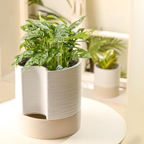 Nihow Ceramic Self Watering Plant Pot for Indoor Plants, 8 Inch,White - Image 6