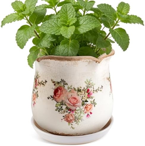 Ceramic-Planters-for-Indoor-Plants with Saucer, 6 inch Vintage Ice Crackle Glaze Plant Pots with Drainage Holes, Decorative Flower Pots for Outdoor Garden Home Decor, Tuscan Pot for Plant by Xoogifae