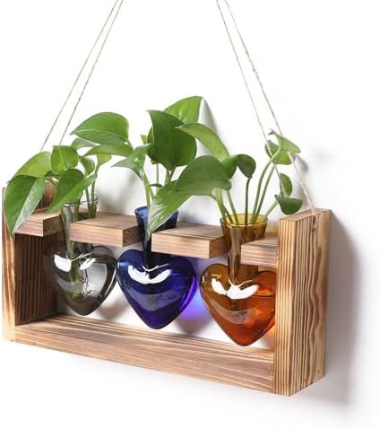 Plant Terrarium Propagation Stations Hydroponics by MTsigns