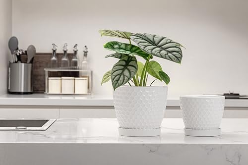 Docrin Ceramic Plant Pots Set of 2 (6.6"+5.5"), High-Fired Clay Indoor Planters with Drainage Holes & Saucer, Honeycomb Modern Home Decor for All House Plants - Image 5