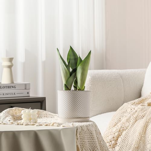 5.8 Inch Ceramic Plant Pot with Drainage Hole & Separate Saucer - Image 5