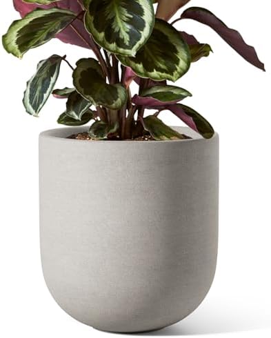 LE TAUCI 8 Inch Plant Pot, Ceramic Pot with Drainage Hole & Rubber Plug, Indoor Planter for Herbs & Small Houseplants, Cylinder Planter for Home Office, Neutral Gray by LETAUCI
